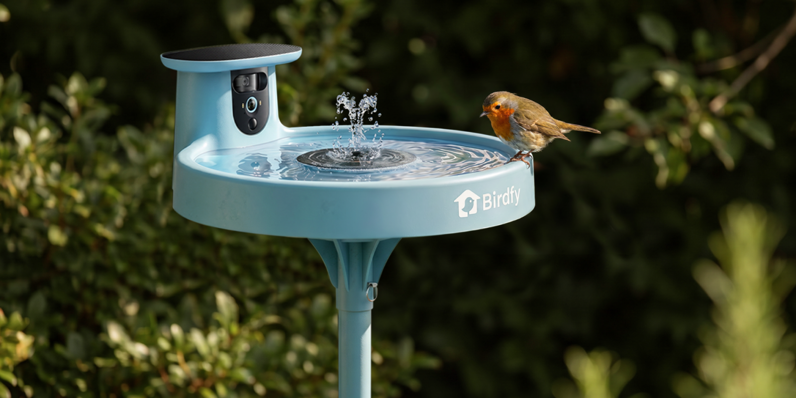 Before Summer Ends, Bring Home Birdfy’s Award-Winning Bird Baths to Help Feathered Friends Stay Cool